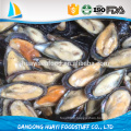 Fournisseur chinois Traitement profond Demi-coquille Moules Viande fruits de mer